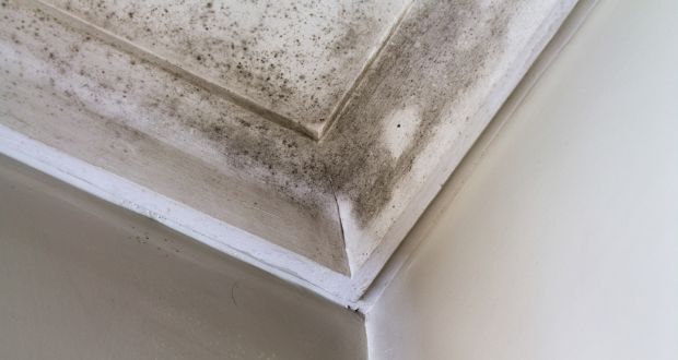 IrishTimesLife's tweet photo. How do I get rid of damp stains on my bathroom ceiling and walls? #PropertyQuestions https://t.co/HgpN6BZFS5 https://t.co/4D4BXF2UGn