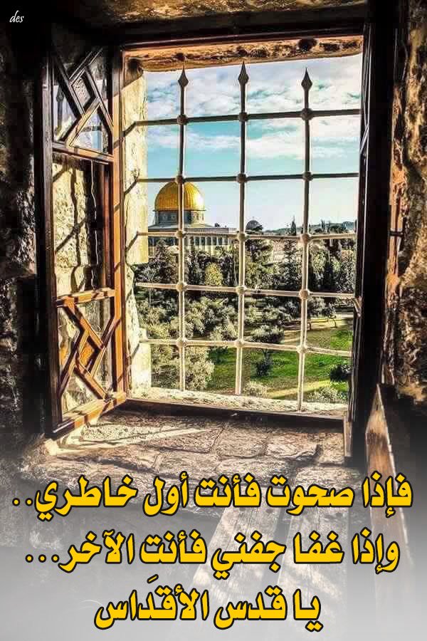 33_alquds's tweet photo. #لاجلك_يا_قدس https://t.co/dQ90vqivXG