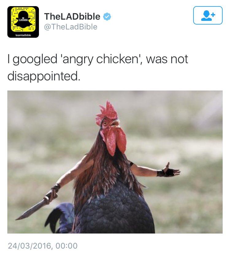 LadbibleSources's tweet photo. .@theladbible this wasn't original the first time you posted it back in October, either. https://t.co/1vg8yGfSFH