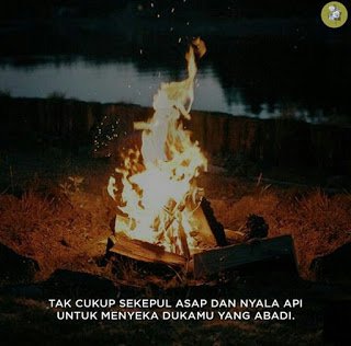 Quotesography tweet picture