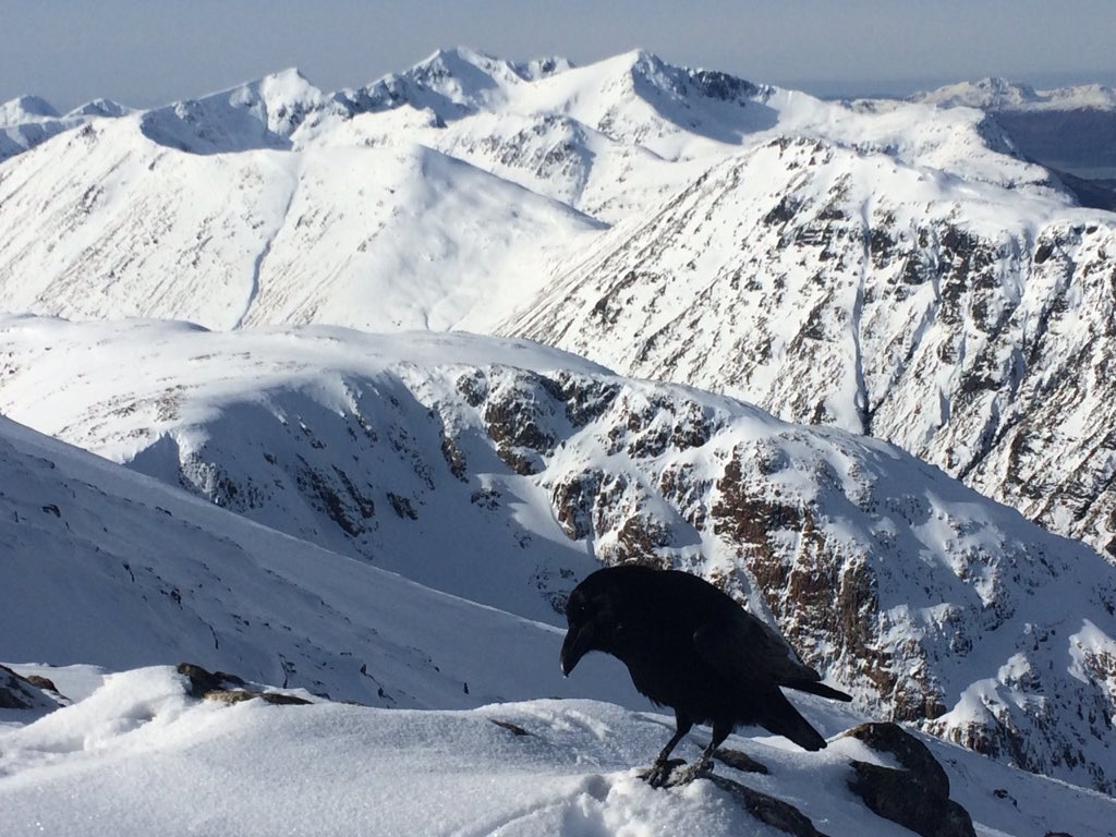 Mountain Pics tweet media