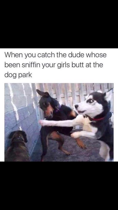 Watch Hangin On Like Wayne's Dreads's leaked NSFW photo on TwXstars