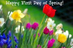 Spring is here! I'm offering 25% the cost of a full spring clean if you go on to have a regular cleaning service.