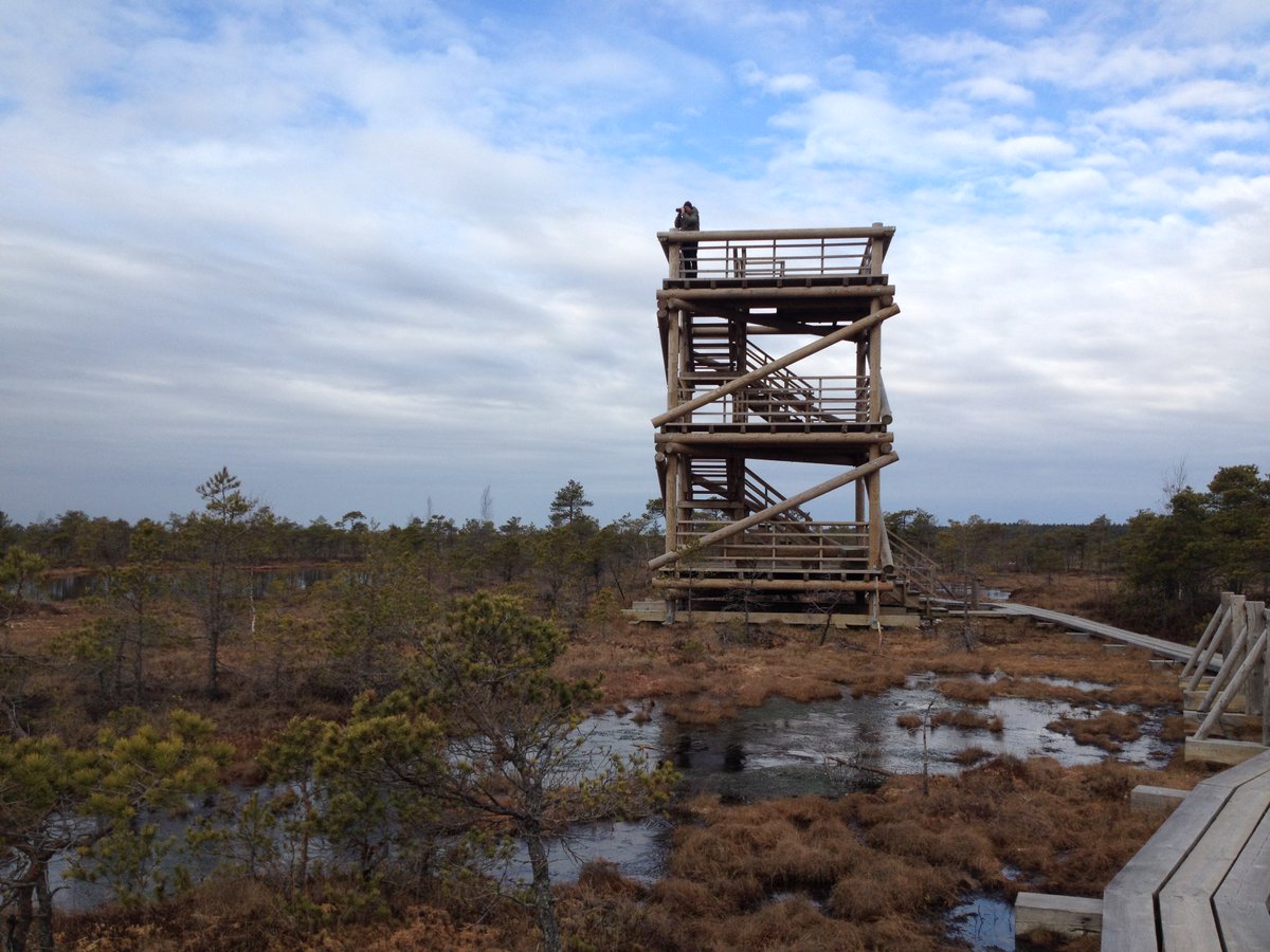 rasasmite's tweet photo. this morning in Latvia's wetlands seeking where to install our new "swamp radio" https://t.co/Y0opgefhw9 https://t.co/tPO5cttuln