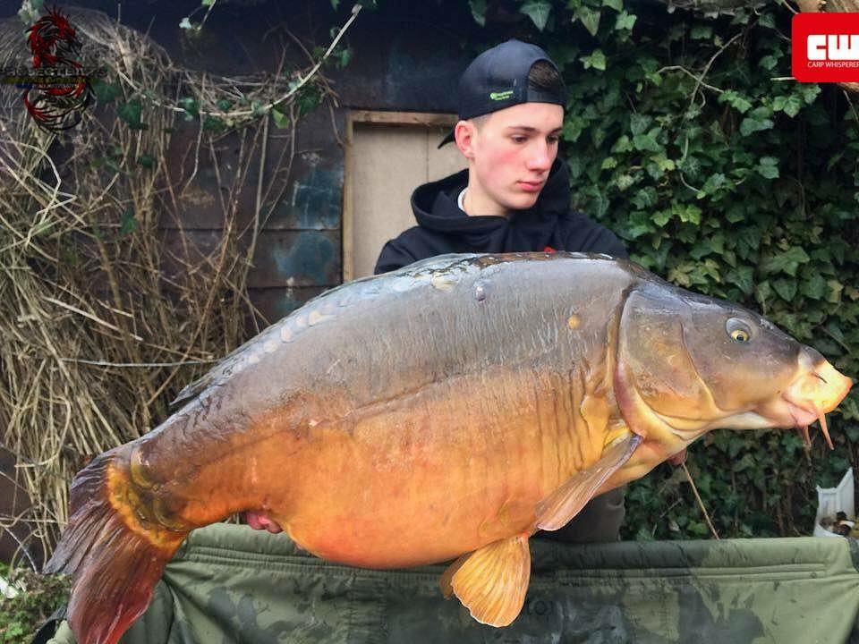 WCFRANCE's tweet photo. Bony à pu mettre cette magnifique miroir devant son objectif grâce la fameuse tresse gainée Kryptec Camo Gravel. https://t.co/rEWWZBeBmT