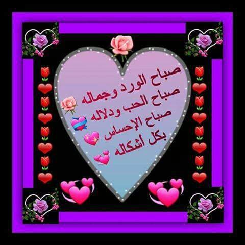 nsralwan271's tweet photo. @Abd47Adil @aliabo815 @NesrinMe99 @nadaalnada_23 @LinaOoki @IRAQIA_77 @sgtrhyte @alhabaabaa @hatamiraqi https://t.co/AJ3R7FilXM