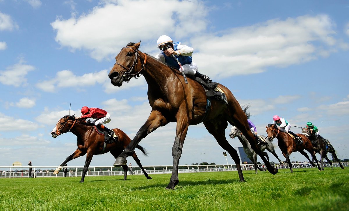 Royal Ascot Ladies Luncheon - click for more info on this fun afternoon! ow.ly/YZLvL