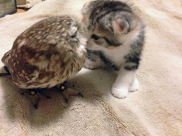 SpeakComedy's tweet photo. If you're having a bad day :) https://t.co/HoUB6B1Sfw