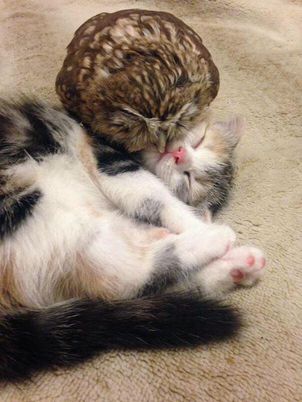 SpeakComedy's tweet photo. If you're having a bad day :) https://t.co/HoUB6B1Sfw