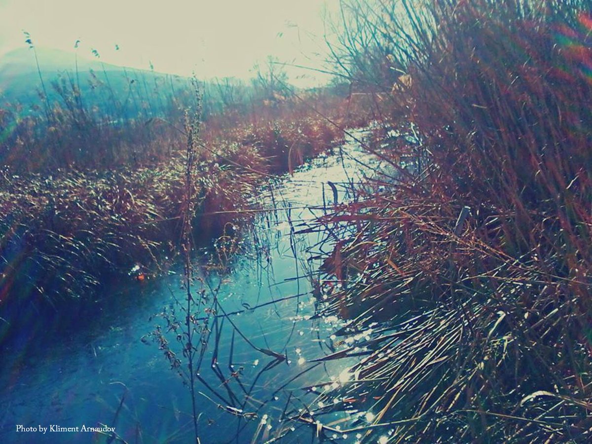 OhridSOS's tweet photo. Ask Studenchishte Marsh a life-question &amp; the answer is crystal clear: #water. 

#SaveLakeOhrid https://t.co/WXiHVxhGzq