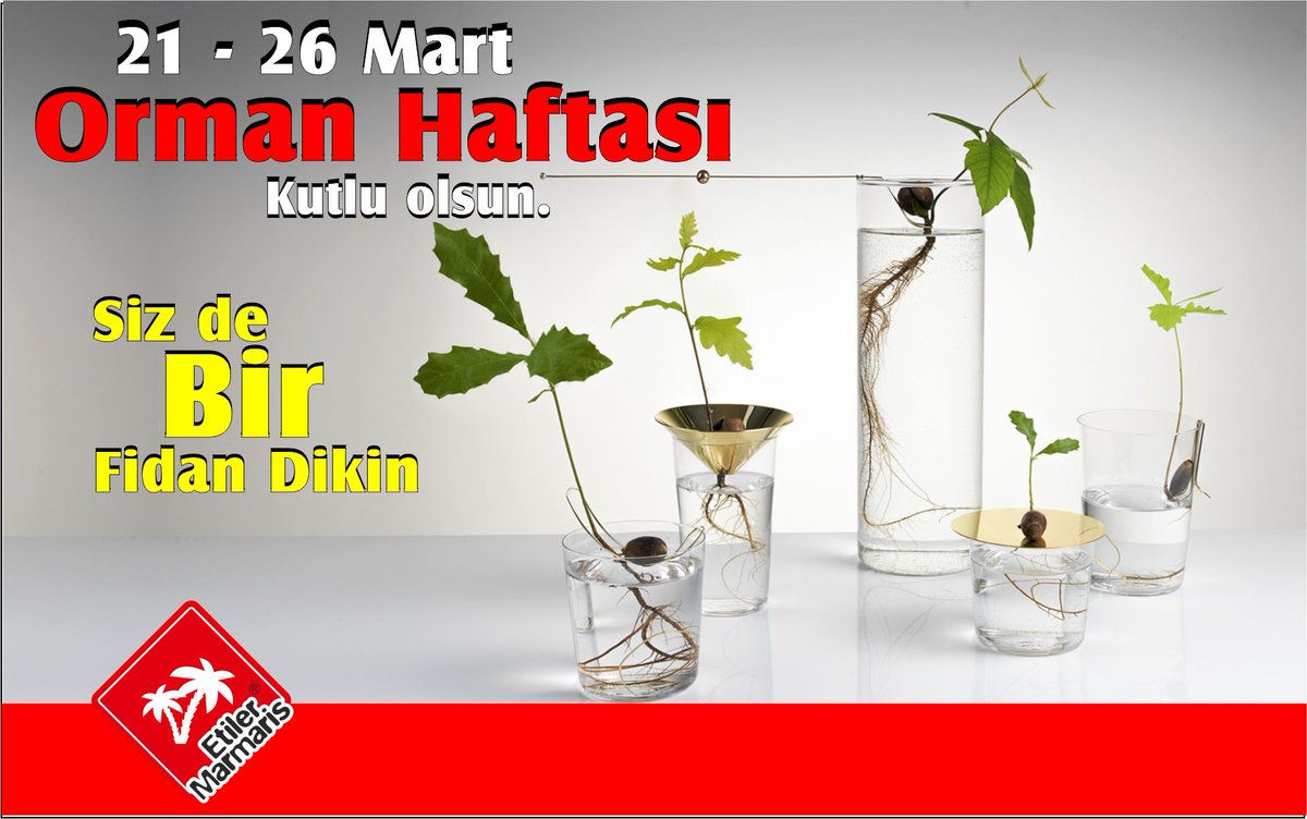 Sizde Bir Fidan Dikin, Orman Haftası Kutlu Olsun…
#etilermarmaris #limonist #bilenbilir #türkiye #istanbul