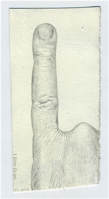 itsourworld2016's tweet photo. Bid on 'Silverfinger No.13' by Paul Noble to support The Big Draw #IOWauctions https://t.co/D6WJtF9gGe https://t.co/VAaEo0oAiK