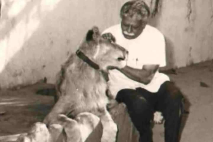 kumarmanish9's tweet photo. Meet Reubean David, Animal lover &amp; Founder of @AhmedabadAMC run Kankariya zoo. #Ahmedabad 
https://t.co/4B8Cdj2G5z https://t.co/FlwEp9CEYq