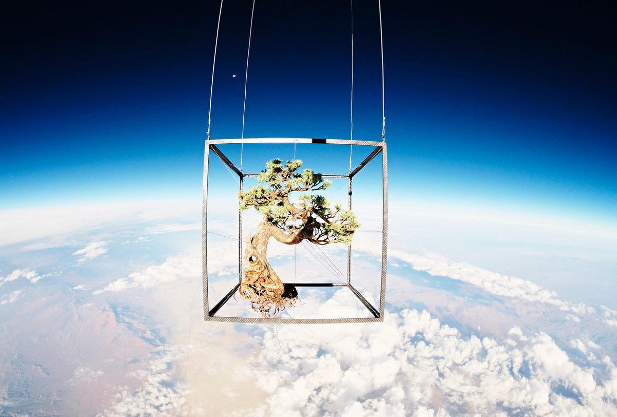 Azuma Makoto sends nature into space: wlpr.co/X29FdG