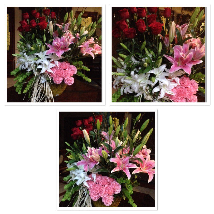 gemmabenitez18's tweet photo. Created with #InstaScrap https://t.co/CwKz1A4two Giant flowers 💐👈thank you 😘 https://t.co/HwQvrre6Qk