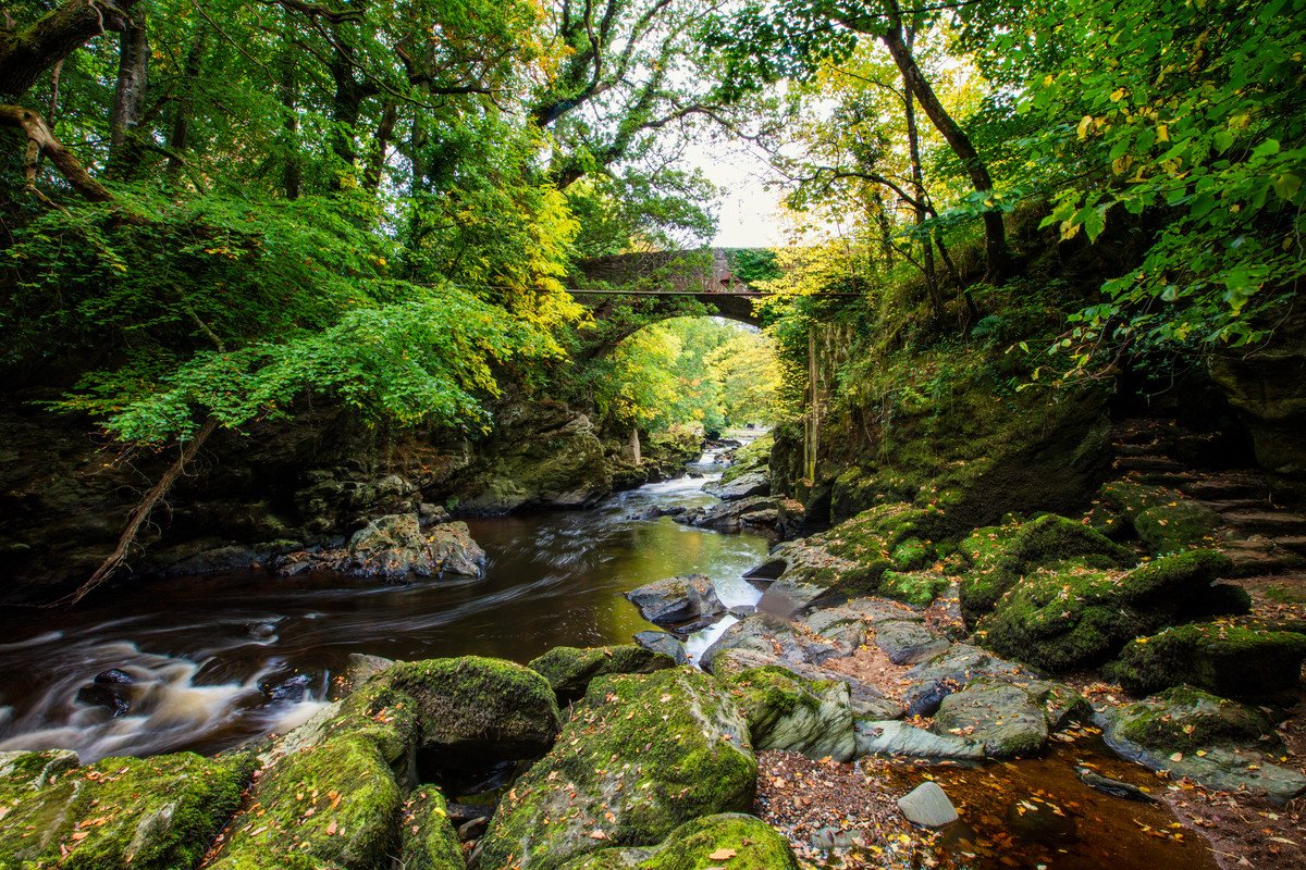 DiscoverNI tweet picture