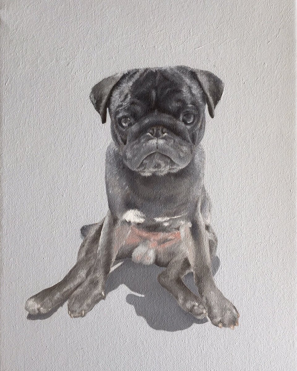 Platinum Pug Portrait.#oiloncanvas #pugsoftwitter #pug #pugs #platinumpug #petportrait #portrait #dogpainting