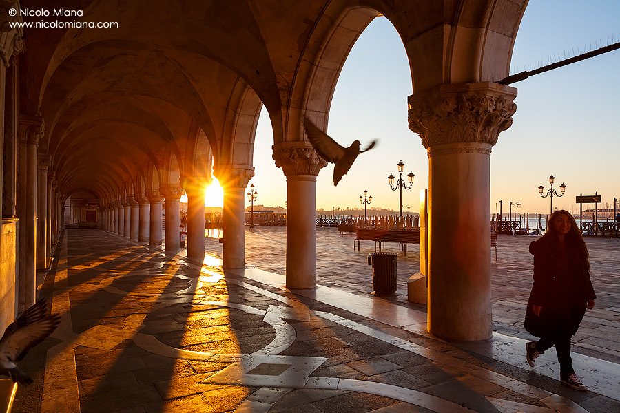 NicoloMiana's tweet photo. #Venezia questa mattina https://t.co/JOUdeQtY6c