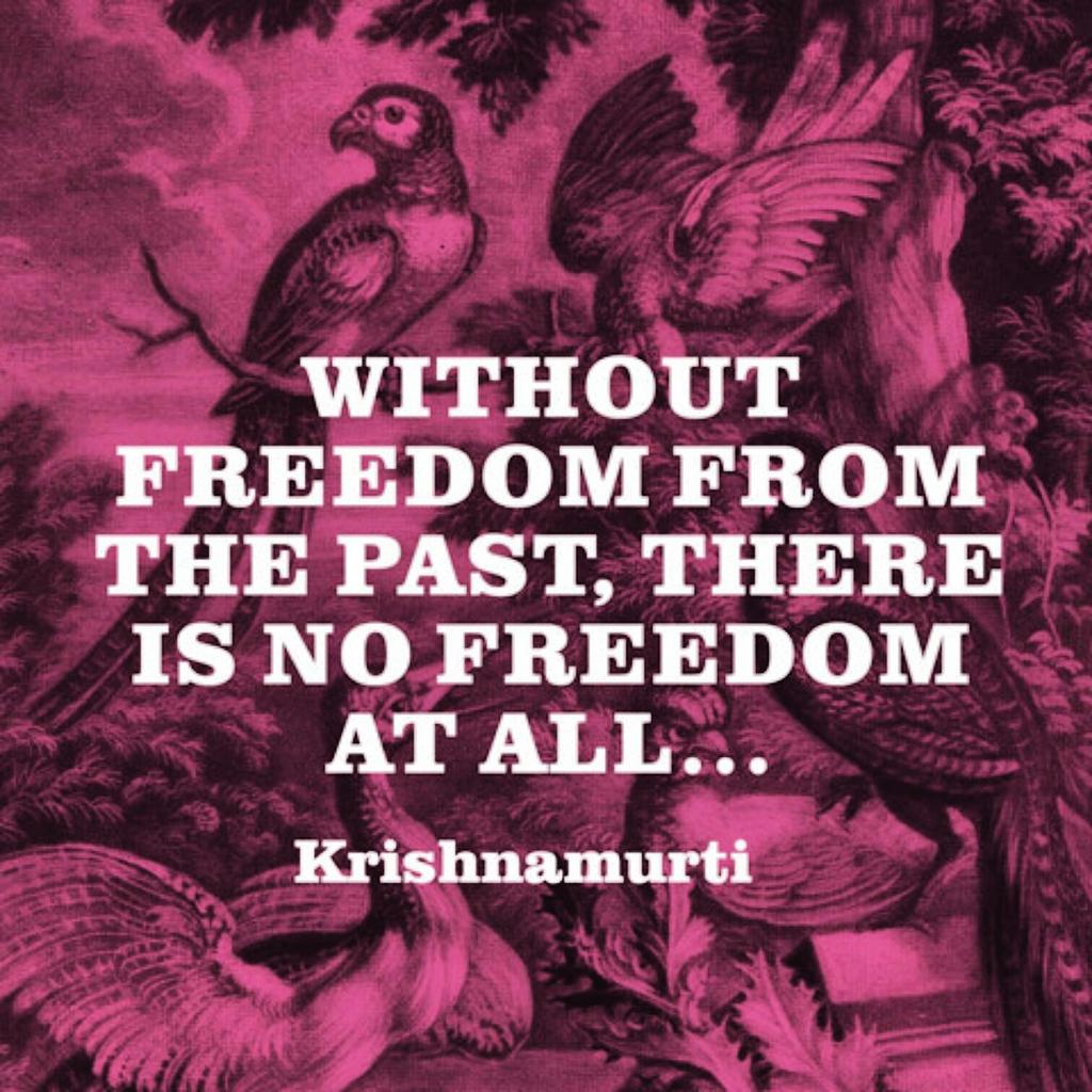 yanciparkinson8's tweet photo. Life is Here & Now.#persent #freedom #consciousness #Happiness #mentalhealth #holistichealth #healing #truth #peace https://t.co/kPJeFIzWsr