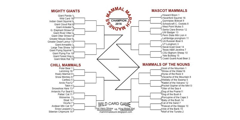 Nature's tweet photo. And the tundra wolf has it! Crowned winner in the Twitter battle for supremacy https://t.co/cYurWdoQo0   #2016MMM https://t.co/Ews6GEDWN3