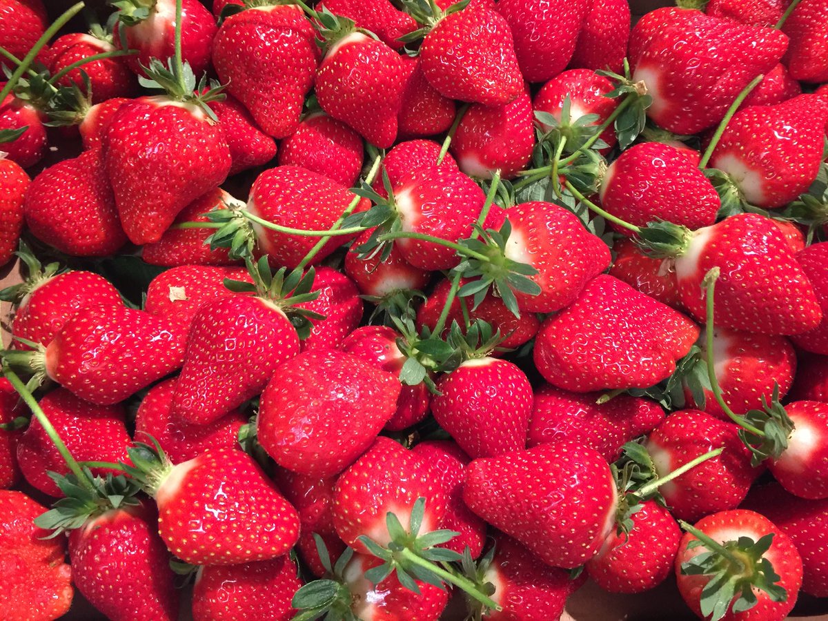 GPennafort's tweet photo. Le mot du chef:
"Les fraises sont bonnes 
Et de Carros 
C'est le printemps" https://t.co/tN2eKPUYbR