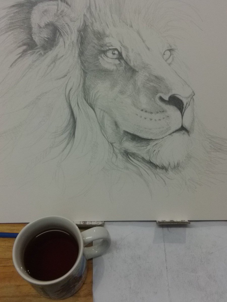 Having a little #sketch of a #Lion while enjoying a fresh cup of Mango Indica! #RealTea #looseleaf