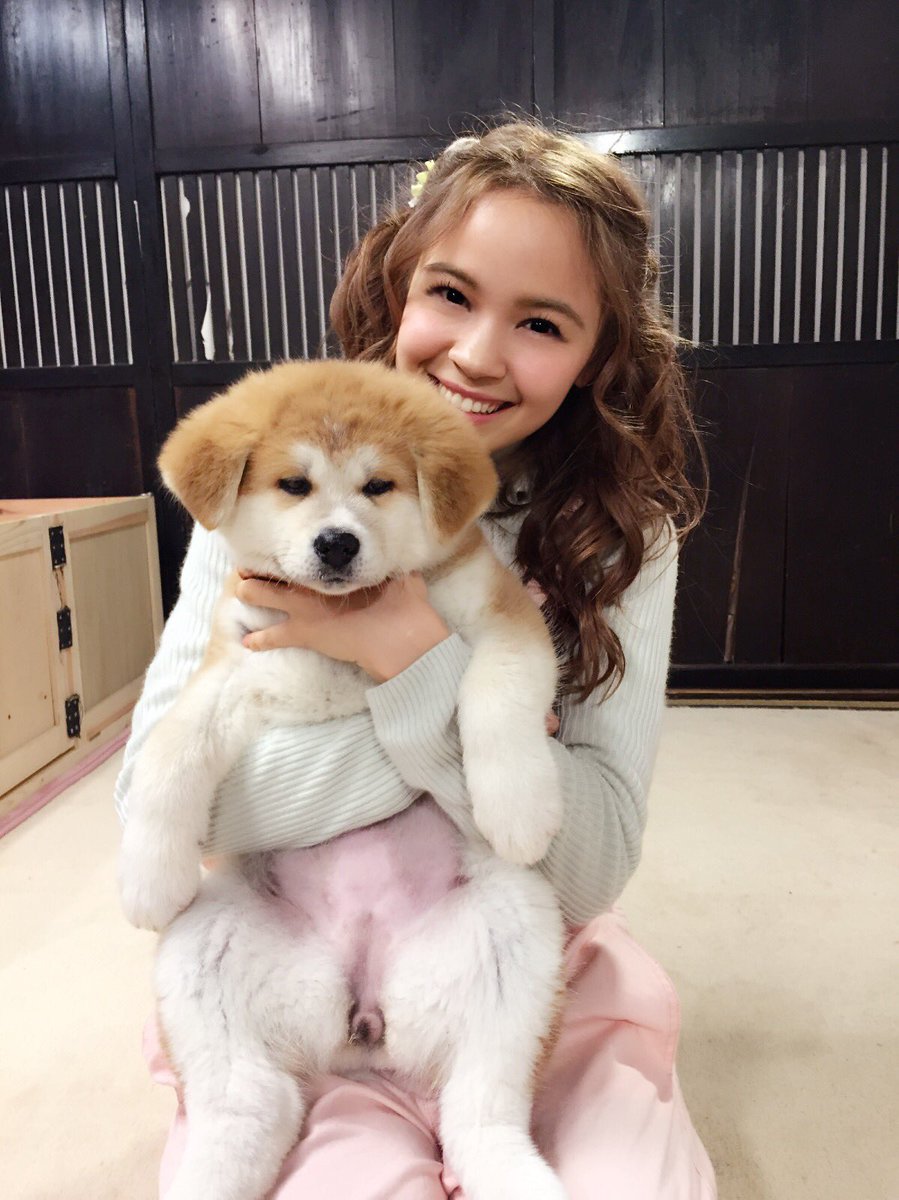アマンダ Amanda على تويتر 梅たま あま いの おかおも くうきかんも 日本犬の里赤ちゃん梅 志村どうぶつ園 秋田犬pochiの赤ちゃん Pochi次女の梅 アマンダ Shimurazoojapanesedog Amanda T Co Becy03t7oj アマンダ Amanda على تويتر 梅たま あま いの おかおも くうきかんも 日本犬の里赤ちゃん梅 志村どうぶつ園 秋田犬pochiの赤ちゃん Pochi次女の梅 アマンダ Shimurazoojapanesedog Amanda T Co Becy03t7oj