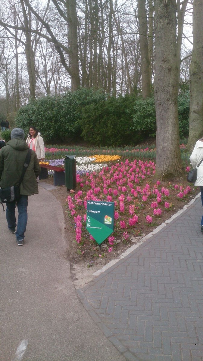hmvanhaaster's tweet photo. Het @visitkeukenhof  is vanaf vandaag weer geopend voor het publiek, ook onze bollen bloeien weer. https://t.co/AV7IFqn3gP