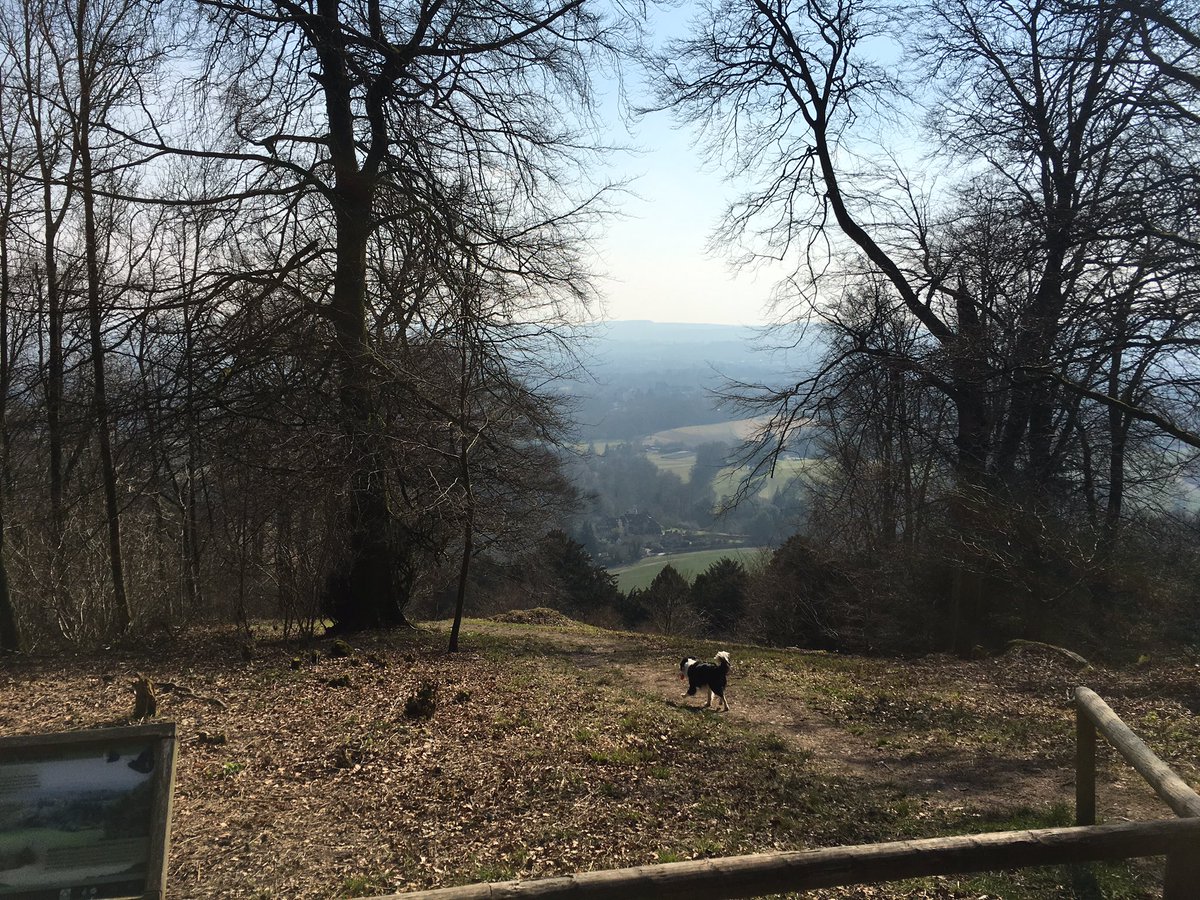 HarryWindsor's tweet photo. Oscar and hills #ashfordhangers https://t.co/VTRFoog2UF