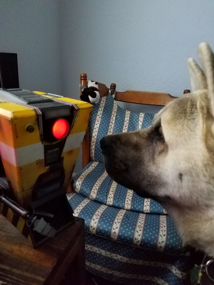 Roku just discovered #CL4P-TP too! 
<a href="/Borderlands/">Borderlands</a>