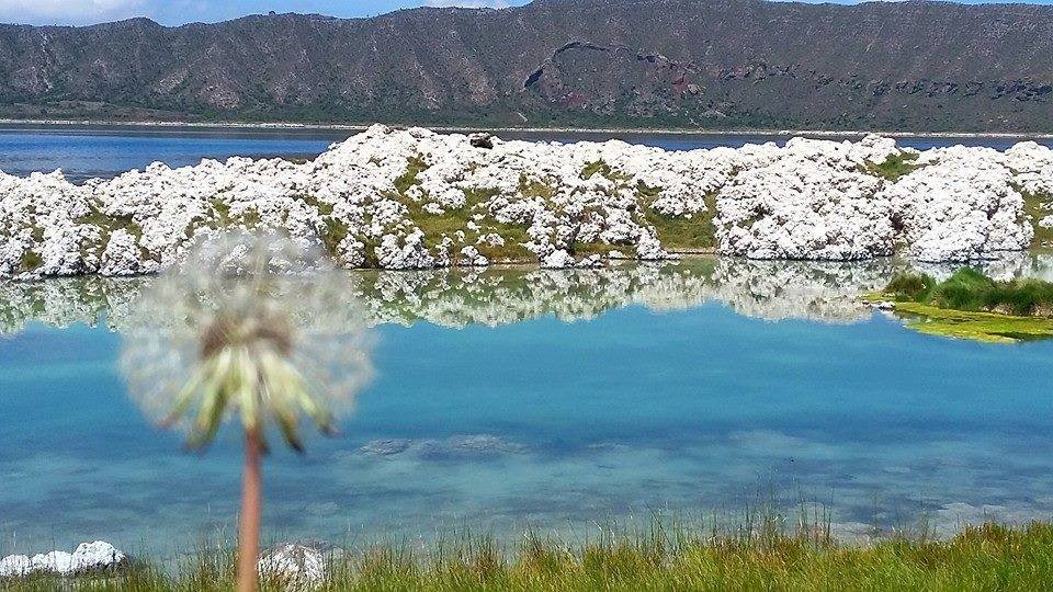 Si eres amante de la naturaleza,  para ti es este bello lugar:La Laguna de Alchichica-Zalayeta. BIENVENIDO A PEROTE