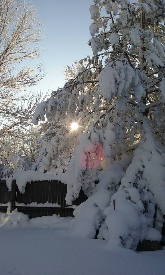 JHansenWX's tweet photo. Beautiful Colorado Morning. The day after the 2016 March Blizzard. @WeatherNation #2016Blizzard #cowx https://t.co/bGhcUb2ONH