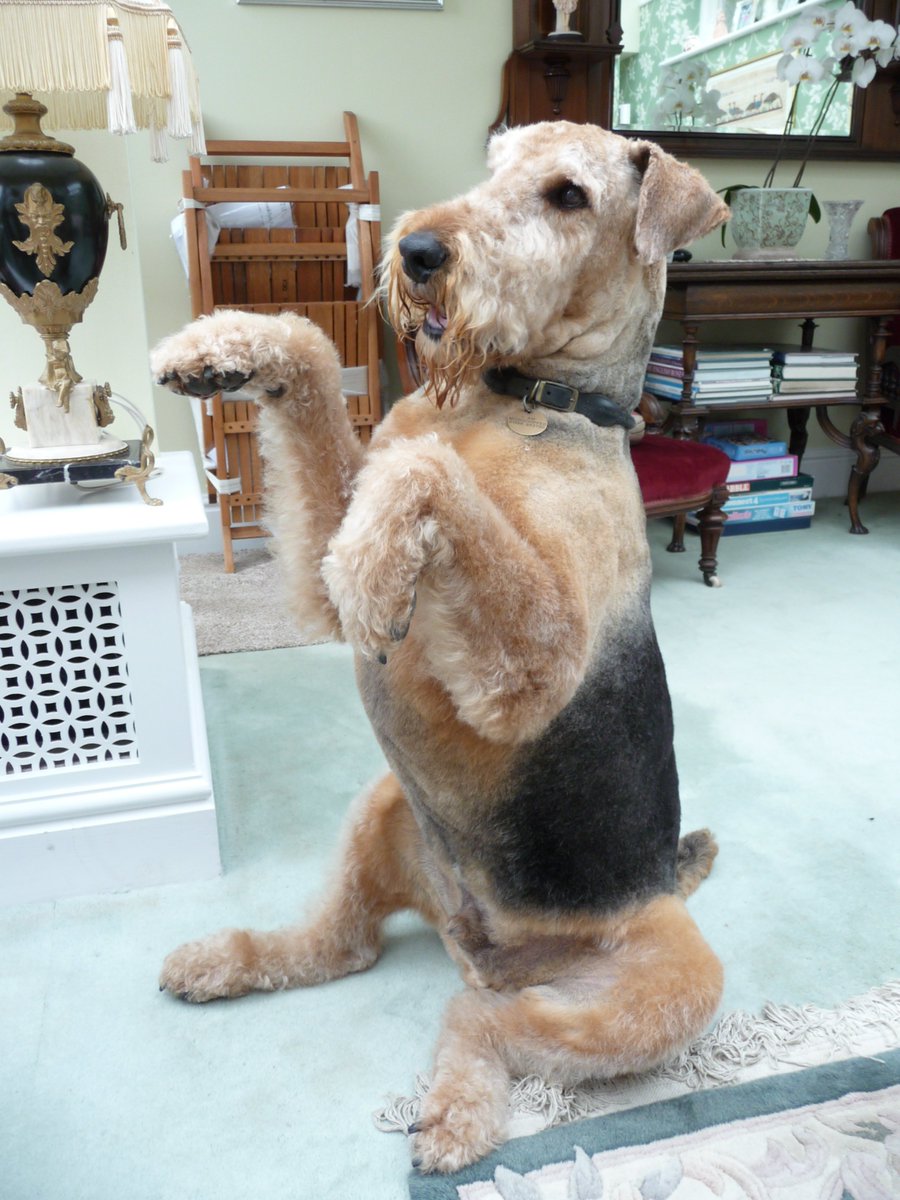 Richard Pinder tweet media