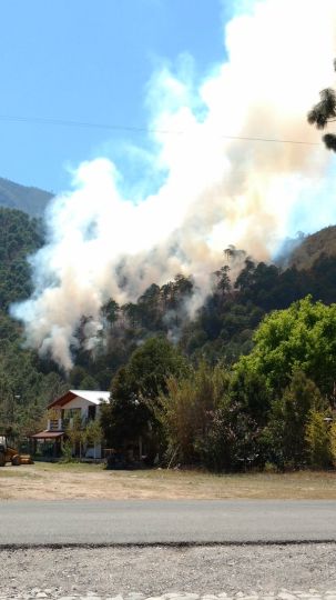 Fuego consume más de 60 hectáreas en bosque de Nuevo León - CeU6FyFWsAI9LAm