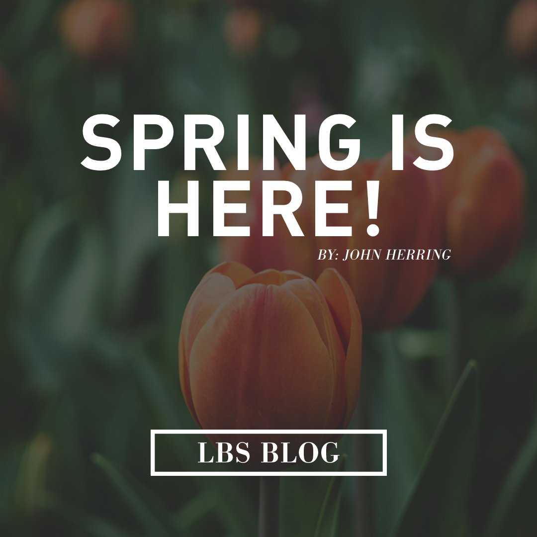 LBSstudents's tweet photo. Check out our new #blog post by John Herring https://t.co/ynTJH5g7JB #ministry #youthmin #uthmin #spring https://t.co/OmrVj8dM8X