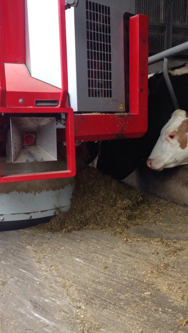 olsangus's tweet photo. In Banteer we were introduced to "Maria" the robot that ensures the cattle reach their full weight potential🐮 https://t.co/JoOyDO5MzH