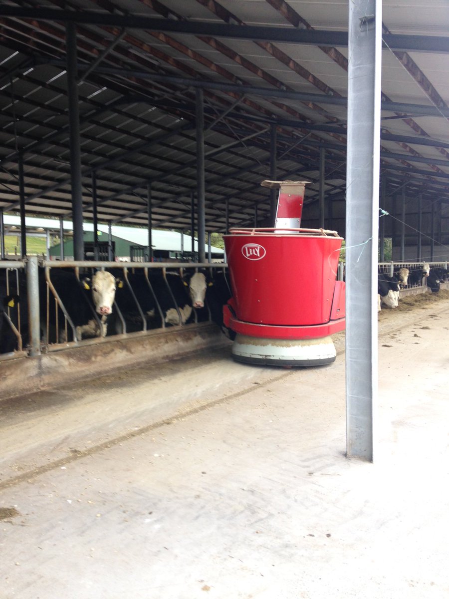 olsangus's tweet photo. In Banteer we were introduced to "Maria" the robot that ensures the cattle reach their full weight potential🐮 https://t.co/JoOyDO5MzH