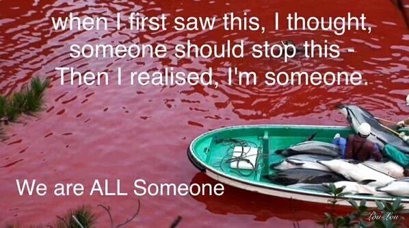 Jst4yu007's tweet photo. @Dolphin_Project Silent Is Not A Option! #ISTANDWITHRIC @oceanCRIES @catlatona333 @QuadSeaShepherd @OpKillingBay https://t.co/Vp0hHhtSVd