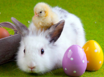 RefSolPro's tweet image. A very happy Easter to all of our clients and suppliers :)