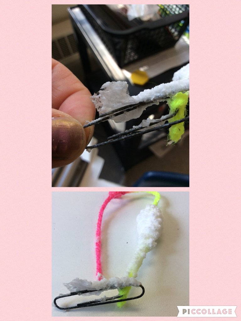 madameacole's tweet photo. Science rocks! (And crystals ;)) https://t.co/K56tBkOjrZ https://t.co/gcLlJWtqlP
