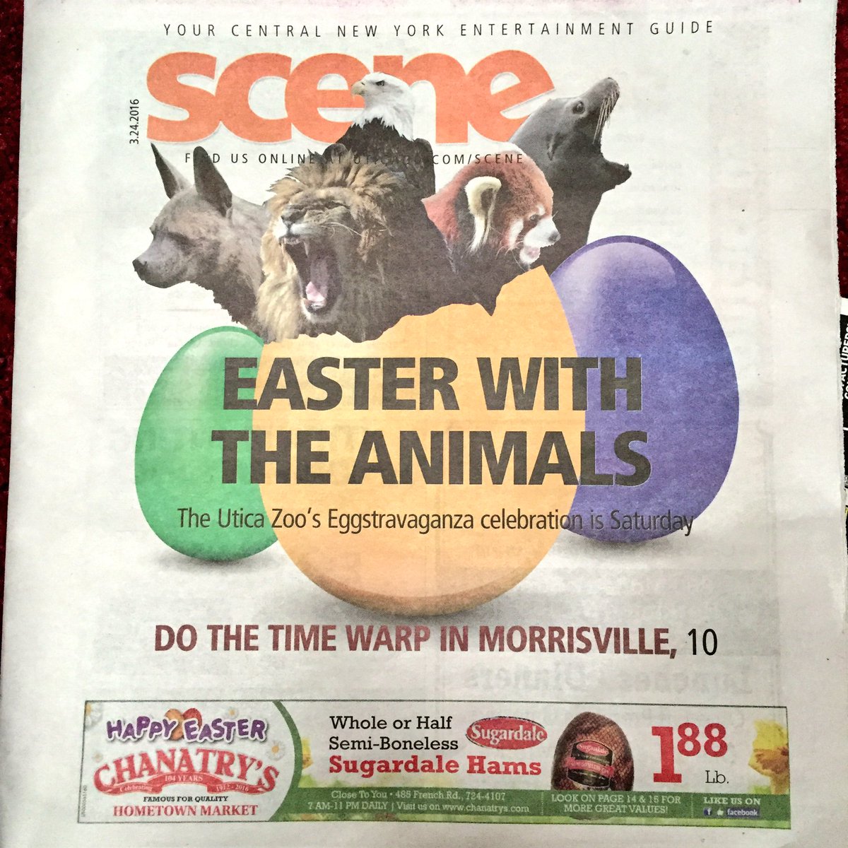 uticazoo tweet media