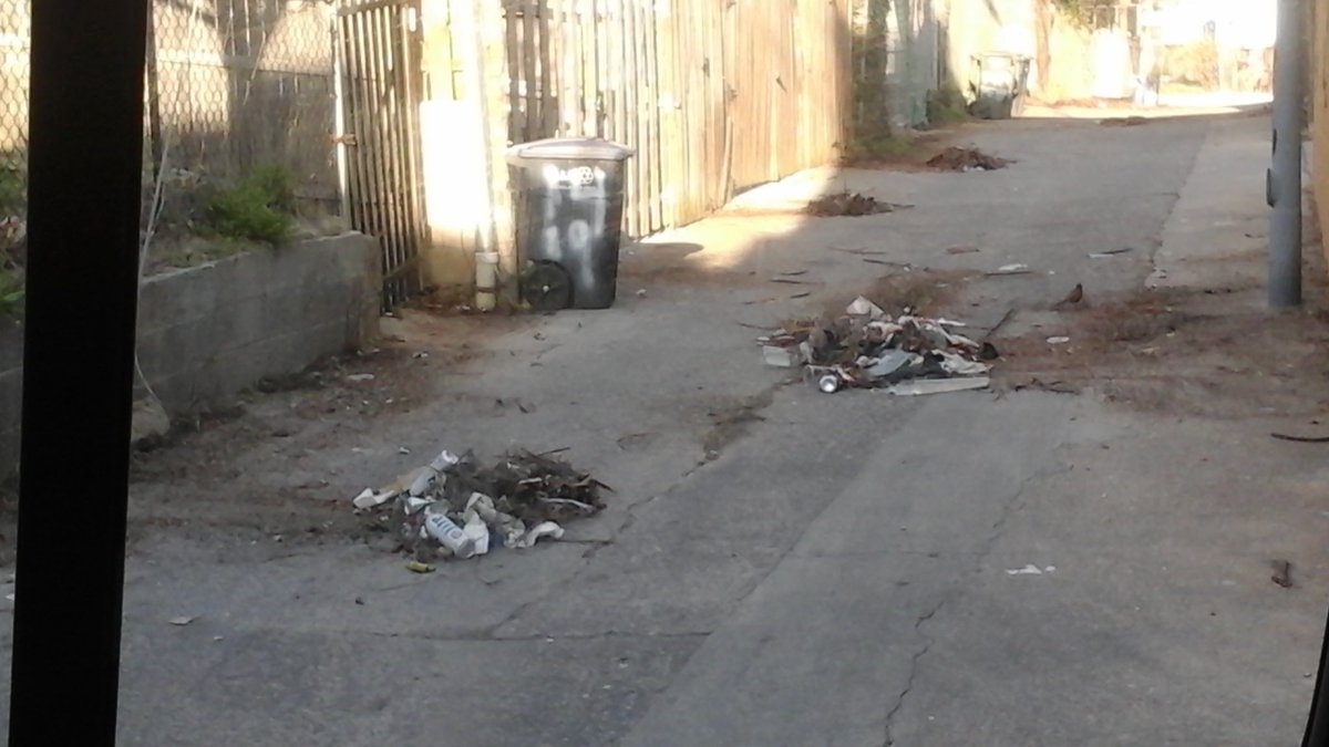 latisha_huntley's tweet photo. Alley cleaning 1400 Spring Road NW https://t.co/sARIAzmzdA