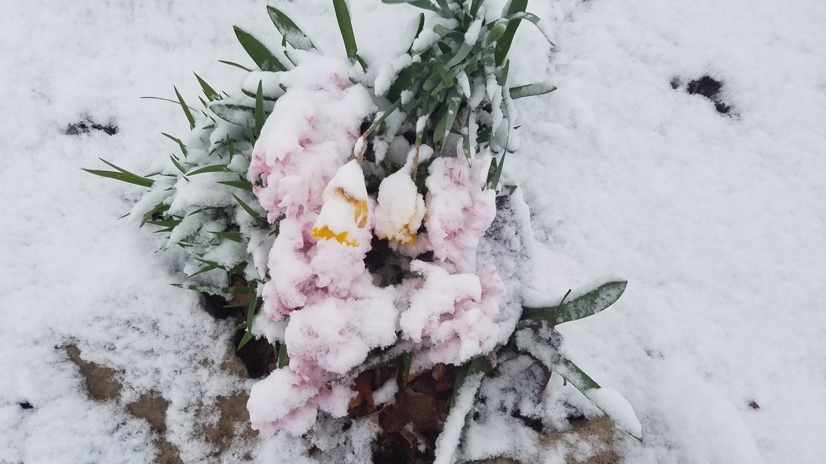 cityofmhk's tweet image. What a 24 hours of #kswx #bringbackspring