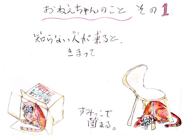 【2・ジョニイとデップ】作者は当時68歳の、祖母曰くロマンチストなおじさまだったそうです。お写真を拝見すると笑顔のとても素敵な白髪のお髭がよく似合う方でした。この絵本は10冊製本されているそうです。続きます。 