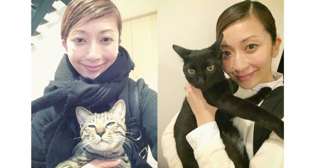 ট ইট র Avex Management 今日は Elt 持田香織の誕生日 そしてマネキン記念日 持田香織の愛猫とあの人気マンガには意外な関係が 記事はこちら T Co Zdhilst2lf Elt 持田香織 Elt Staff T Co Pb9x0kr2wk