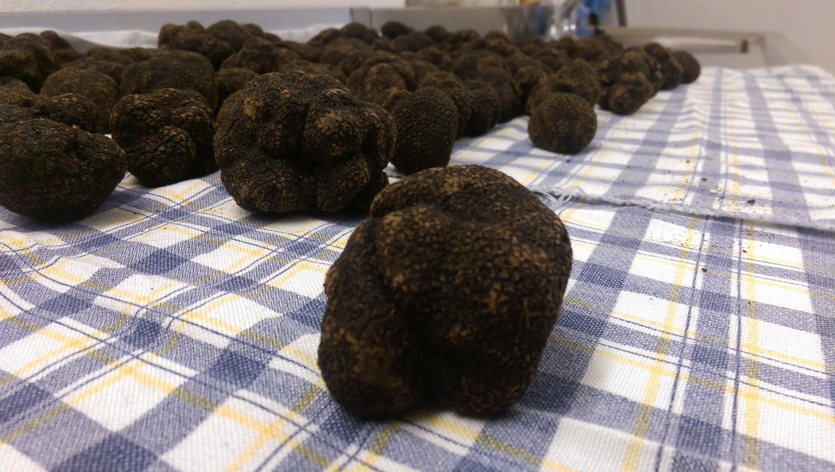 ATruffles's tweet image. Mmmmmmm..........