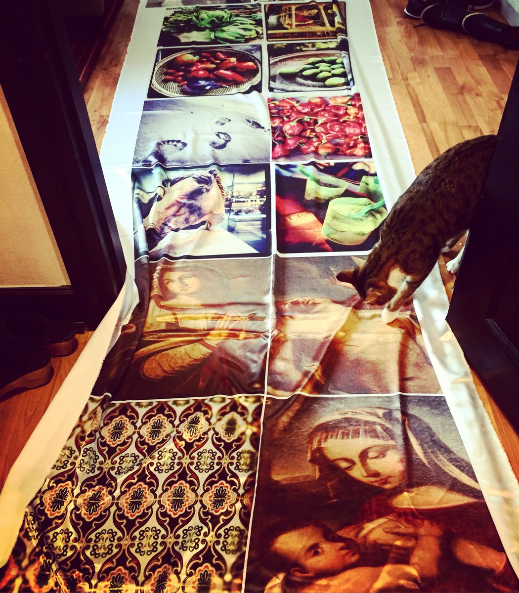 funk_it_designs's tweet photo. #cat chooses fav #photo #art on #cushion #design.
#photograph #photography #designer #interiordesign #artmarketer https://t.co/CpagUJLrtf
