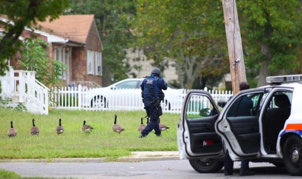 TheRealMedicCJ's tweet photo. They're so mean the police use them #angrygeese  @DaveandChuck @AndyGreenradio @LisaWay101 @WHOtheFisJC https://t.co/4Z86x9qHq3