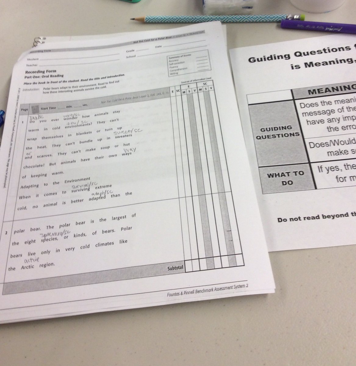 MsMcKinney23's tweet photo. #runningrecords2 #checkingourwork #selfcorrectonselfcorrect #errorcheck https://t.co/vVsifv0eso