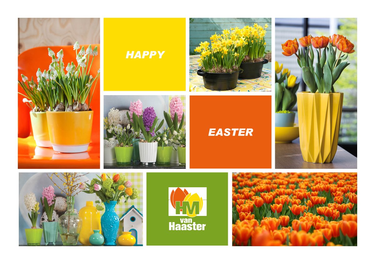 hmvanhaaster's tweet photo. Vrolijk Pasen
Frohe Ostern
Joyeuses Paques
Happy Easter https://t.co/0uXCb7zclZ